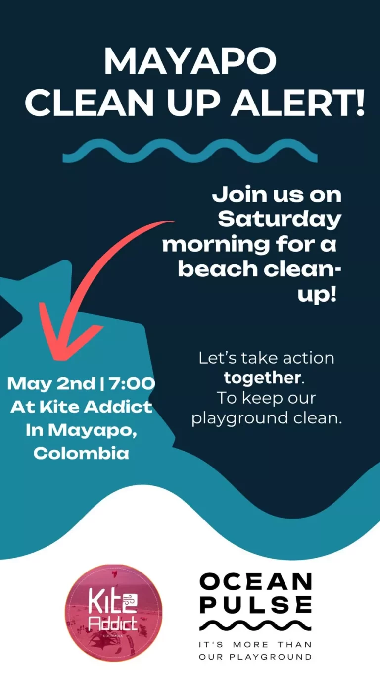 Beach Clean Up Mayapo